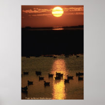 Poster / Sunrise at Blackwater NWR
