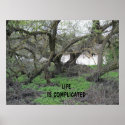 Poster: Tangled Tree Limbs posters