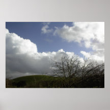 Poster: Templeton Vineyard on Cloudy Day