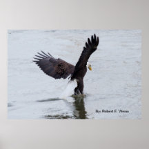 Poster/ Walking on water.