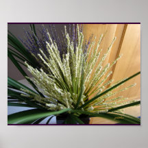 Poster - White Heather and Grasses