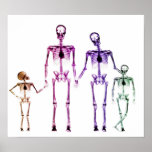 POSTER - X-RAY SKELETON FAMILY WHITE ORIGINAL