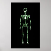 Poster - X-Ray Vision Single Skeleton Black Green