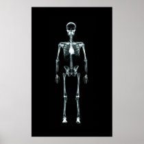 Poster - X-Ray Vision Single Skeleton Original