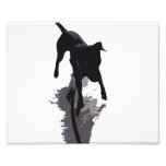 posterized dog and shadow photograph