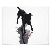 posterized dog and shadow photograph