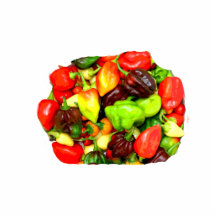 Posterized Hot Pepper Assortment Picture Photo Cutout