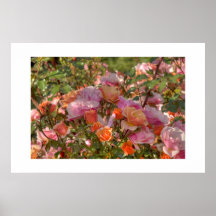 Posters pastel roses