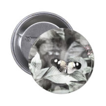 Postman Butterfly Pinback Buttons