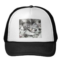 Postman Butterfly Trucker Hats