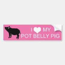 Pot Belly Pig Bumper Sticker