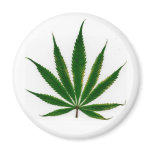 Pot Leaf magnets