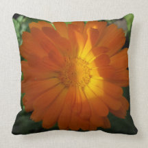 Pot Marigold (Calendula Officinalis) Throw Pillows