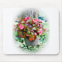 Pot of Begonias Mousepads
