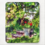 Pot of Geraniums Near Steps