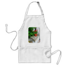 Pot of Geraniums on Stoop Apron