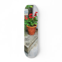 Pot of Geraniums on Stoop