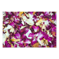 Pot Pourri Photo