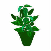 Pot with green themed plant photo cut outs
