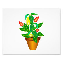 Pot with red and yellow pepper plant art photo