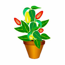 Pot with red and yellow pepper plant photo sculpture