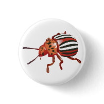 Potato Beetle buttons