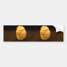 Potato on dirt bumper stickers