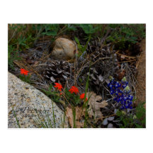 Potpourri Post Cards
