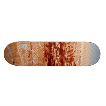 Potrero from Twin Peaks ( San Francisco ) Skate Boards