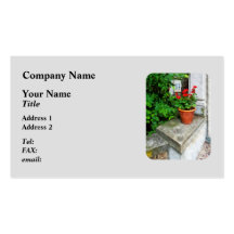 Pots of Geraniums on Stoop Business Card Templates