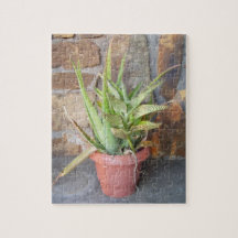 Potted Aloe Vera Puzzle