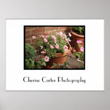Potted Petunias Posters