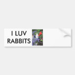 Potted rabbit bumper sticker