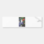 Potted rabbit bumper sticker