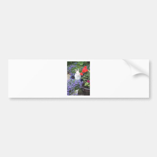 Potted rabbit bumper sticker