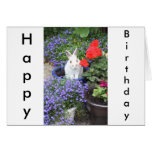 Potted rabbit cards