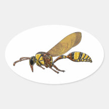 Potter Wasp Stickers