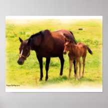 Poulain de la jument n posters