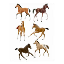 Poulains Carte Postale