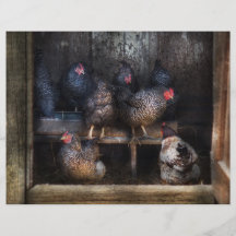 Poulet - la Chambre de poule Tract Personnalisé