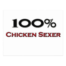 Poulet Sexer de 100 pour cent Carte Postale