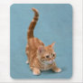 Pouncing Kitten Mouse Pads