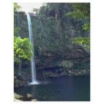 Pouring Water In A Still Pond Full Color Flyer
