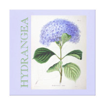 Pourpre vintage de toile d'art d'hortensia impression sur toile