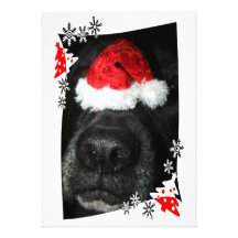 Poursuivez le chapeau de Noël sur le nez, canine n Invitation Personnalisable