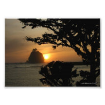 poussée de la La 5X7, Washington Photo D’art