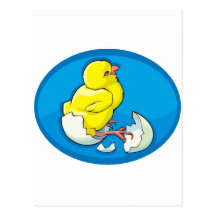 Poussin Cartes Postales