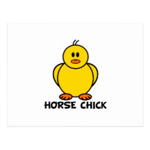 Poussin de cheval carte postale