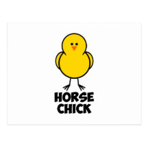 Poussin de cheval carte postale