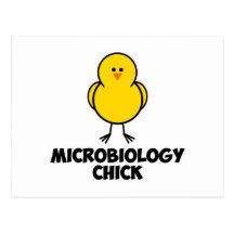 Poussin de microbiologie carte postale